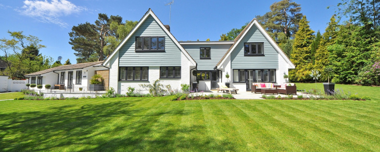 Marzenie o idealnej darni: Zakładanie trawnika krok po kroku