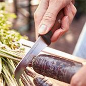 Wusthof Urban Farmer