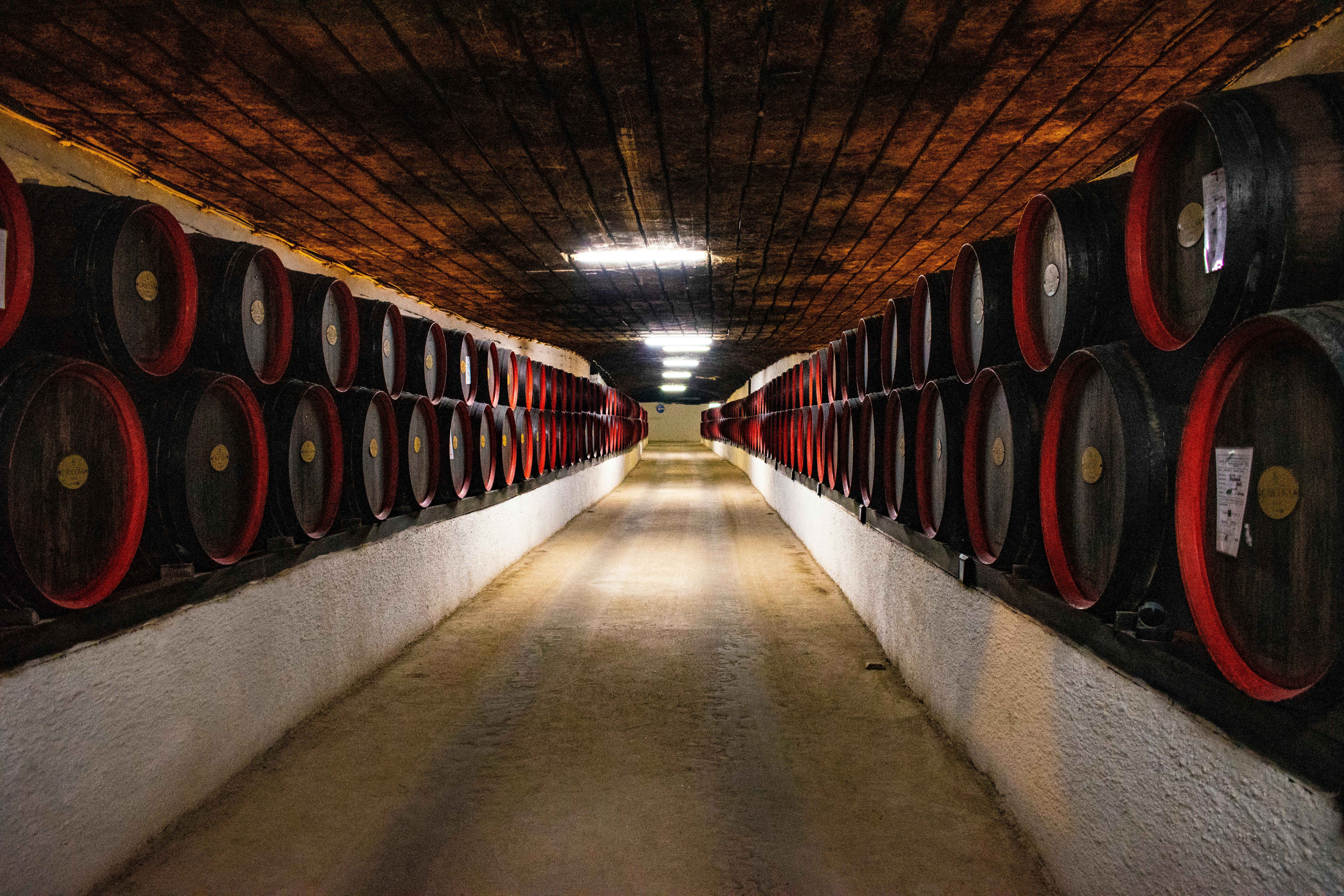 bourbon whiskey dojrzewająca w beczkach dębowych