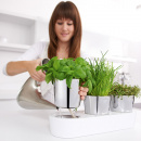 Doniczki na zioła w podstawce Gourmet WMF 0641306040