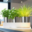 Doniczki na zioła w podstawce Gourmet WMF 0641306040