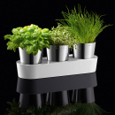 Doniczki na zioła w podstawce Gourmet WMF 0641306040