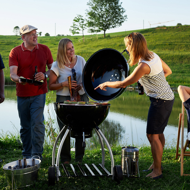 grille węglowe roesle numer 1