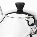 Dzbanek stalowy do herbaty 0,75 Litra Ceylon Bredemeijer 3104Z