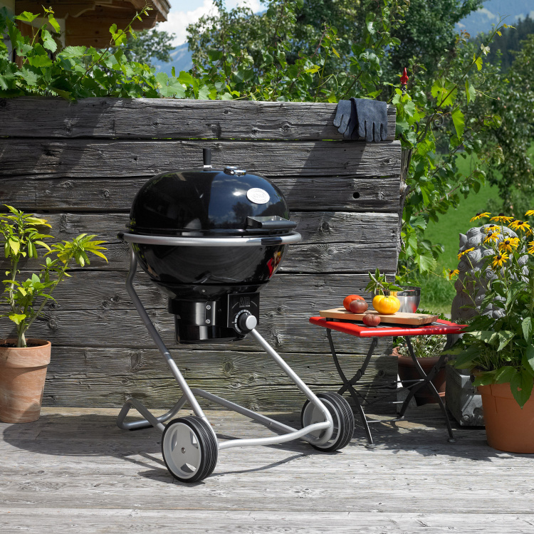 Grill węglowy Roesle