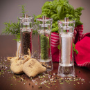 Młynek do pieprzu akrylowy 18 cm Aachen Zassenhaus ZS-035063