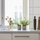 Młynek do soli Mrs. Salt dębowy 23 cm Spring Copenhagen 2001