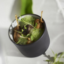 Naczynie porcelanowe na tapas Solid & Likid Revol czerwone wnętrze RV-646423-6