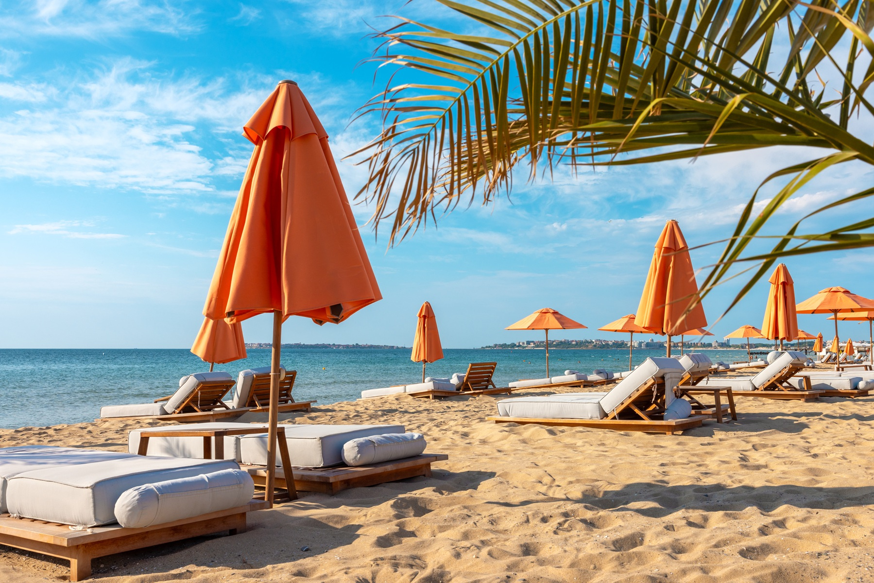 Plaża w Bułgarii z leżakami i parasolami jako pomysł na tanie wakacje.