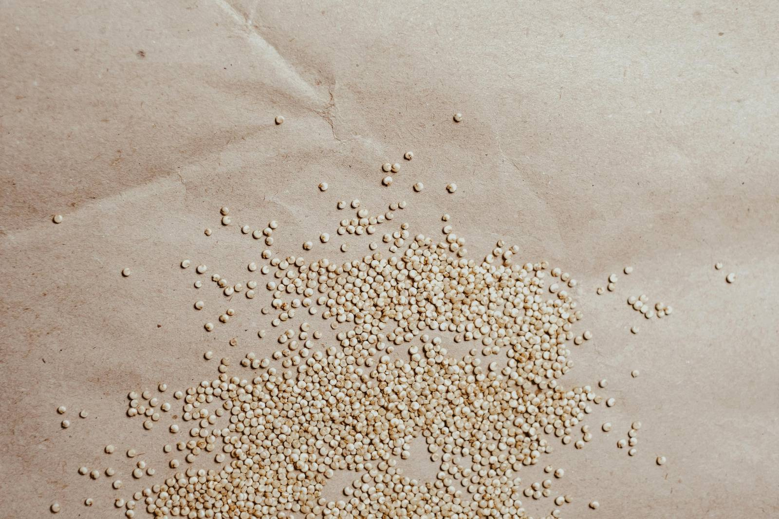 Quinoa - rozsypane ziarna zboza