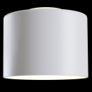 Spot sufitowy biały LED Planet Maytoni C009CW-L12W