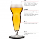 Szklanki do degustacji piw świeżych, lekkich i zrównoważonych PG-250430