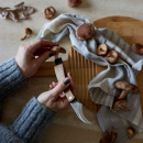 Torba na grzyby i nóż do zbierania grzybów Sagaform SF-5018342