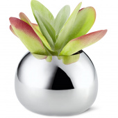 Wazon Bella Philippi rozmiar S P202004