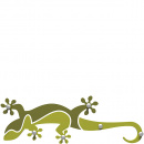 Wieszak ścienny Gecko CalleaDesign cedrowo-zielony 54-13-1-51