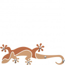 Wieszak ścienny Gecko CalleaDesign jasnobrzoskwiniowy 54-13-1-22