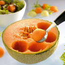 Wykrawacz do owoców i warzyw duży Boceli Gefu G-13720